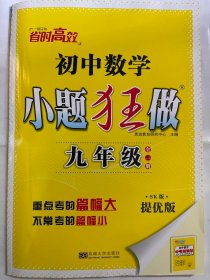 2024秋  初中数学  小题狂做   九年级 （提优版）SK版