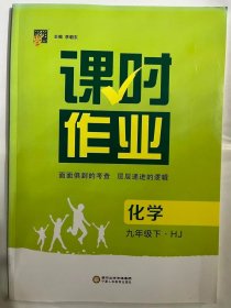 2020 经纶学典 课时作业 化学 九年级下 HJ