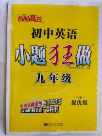 2024秋  初中英语  小题狂做   九年级 （提优版）YL版