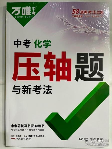 2024万唯中考 中考化学压轴题与新考法