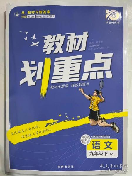 理想树2021版教材划重点语文九年级下RJ人教版配秒重点图记