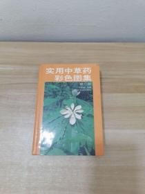 实用中草药彩色图集（2）