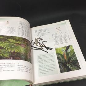 中国食用本草（植物卷）