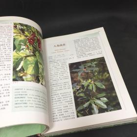 中国食用本草（植物卷）