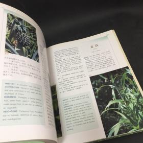 中国食用本草（植物卷）