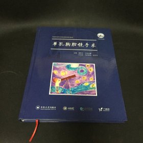 单孔胸腔镜手术