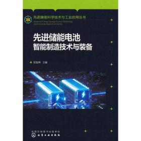 先进储能科学技术与工业应用丛书--先进储能电池智能制造技术与装备