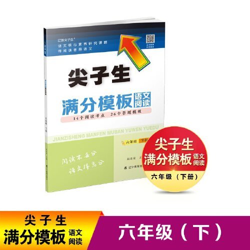 尖子生满分模板语文阅读六年级下册