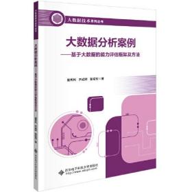 大数据分析案例——基于大数据的能力评估框架及方法