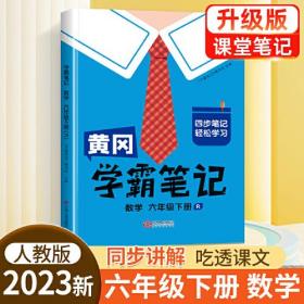 CHEN 汉知简 黄冈学霸笔记 数学 六年级下册 人教版 54.9