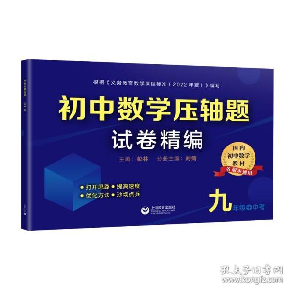 初中数学压轴题试卷精编（九年级＋中考）