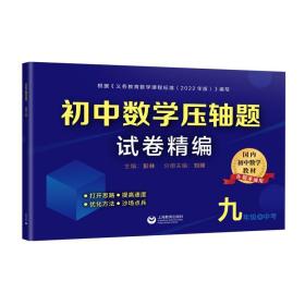 初中数学压轴题试卷精编（九年级＋中考）