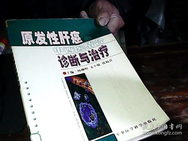 原发性肝癌的中西医结合诊断与治疗