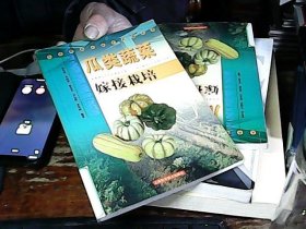 瓜類(lèi)蔬菜嫁接栽培
