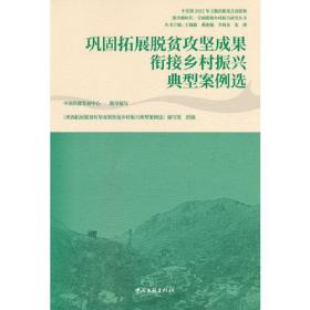 巩固拓展脱贫攻坚成果衔接乡村振兴典型案例选