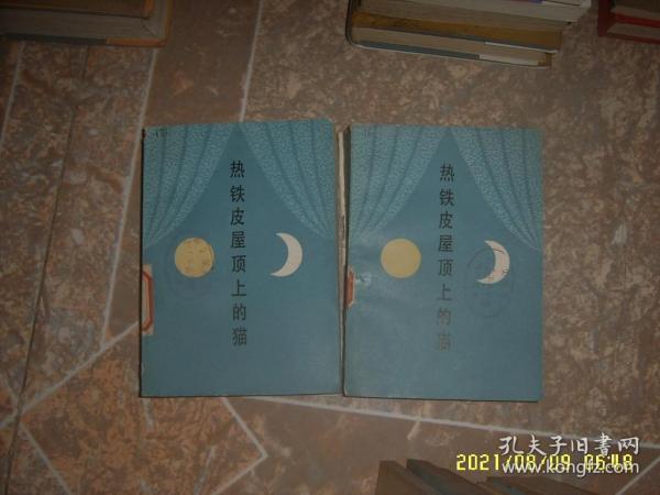 热铁皮屋顶上的猫 世界文学编辑部 中国社会科学出版社