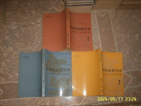 历史在这里沉思 1966 1976年记实 一二三全