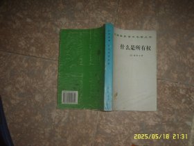 汉译世界学术名著丛书 什么是所有权