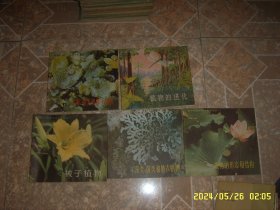 初中植物学教学参考图册： 全彩图5册合售