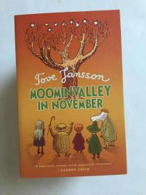 Moominvalley in November