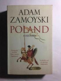 波兰史  Poland: A History