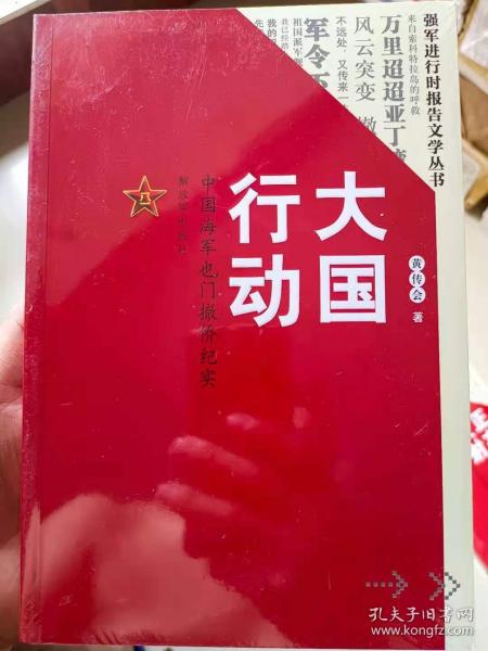 大国行动：中国海军也门撤侨纪实/强军进行时报告文学丛书