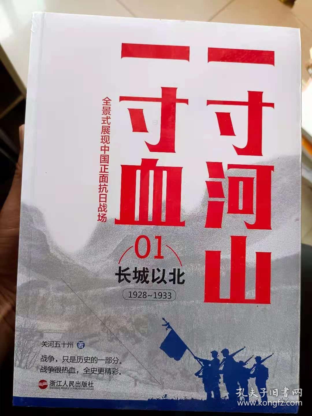 一寸山河一寸血（全景式展现中国正面抗日战场）