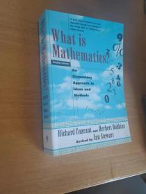 What Is Mathematics 什么是数学 对思想和方法的基本研究