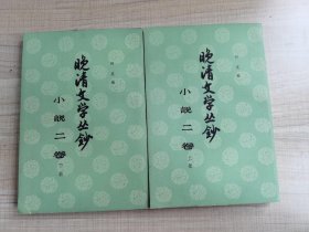 晚清文学丛钞：小说二卷 上下册       （存放218层A）