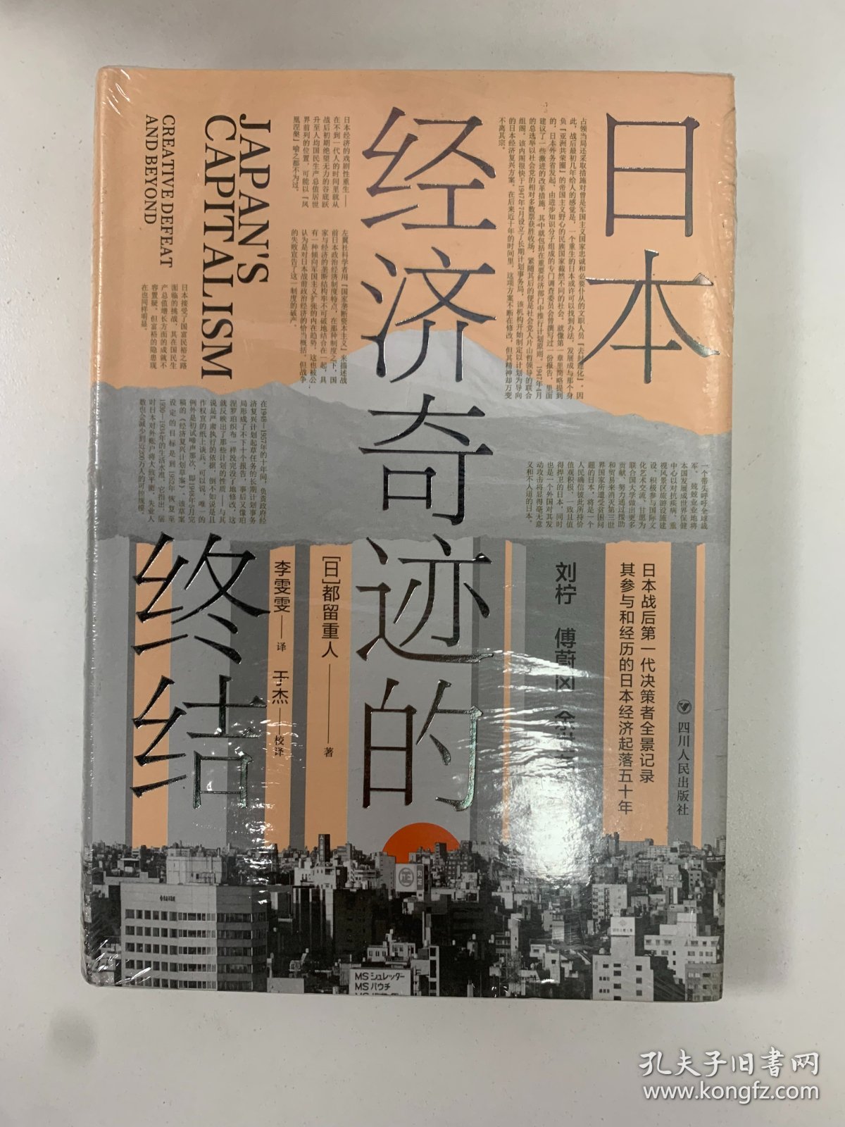 日本经济奇迹的终结(日本经济类经典著作,复盘日本经济发展路径,思索中国经济发展走向)