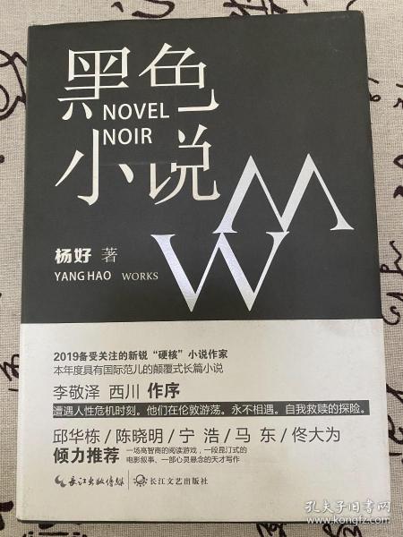 杨好签名本《黑色小说》，一版一印，新锐小说家