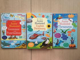 英文 原版 现货 实物 拍摄 The usborne English for writers collection 英国 Usborne 出版社 斯伯恩 英文写作 三部曲 函套装 三册全 796页