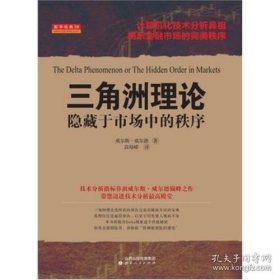 正版书籍三角洲理论:隐藏于市场中的秩序：威尔斯·威尔德