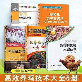 养鸡技术书全5册 养鸡技术书籍大全养鸡手册鸡病防治蛋鸡饲料配方土鸡养殖技术散养鸡饲养管理养鸡的书鸡场教程鸡常见病诊治