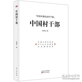 中国村干部 张艳华 对话中国杰出村干部 一本书讲透中国基层的乡村政治群体 村干部书企业下乡书 中国新农村建设实战手册