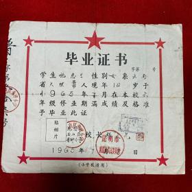 1965年昆明市西山区普坪小学毕业证书