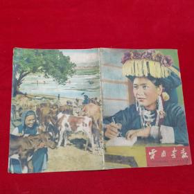 云南画报（1959年9月总第7期）品见图及描述