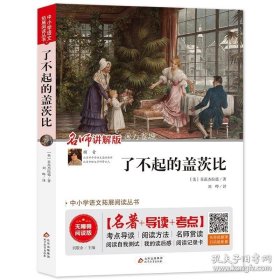 正版书籍了不起的盖茨比(名师讲解版无障碍阅读版)/中小学语文拓展阅读丛书