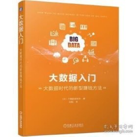 正版书籍大数据入门.大数据时代的新型赚钱方法\[日]IT调查研究