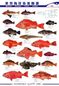 世界海洋鱼类图谱渔业水产图谱鱼图虾蟹图世界水产品挂图五种语言对照水产外贸加工必备共13（缺1张鱼图3和虾图） 免邮