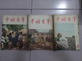 中国青年  1954-1966年  期刊  （暂定10元，因期号或品相不同，购买前请联系再拍）