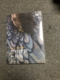 【库存新书】怎样理解一只鸟（“天际线”丛书）