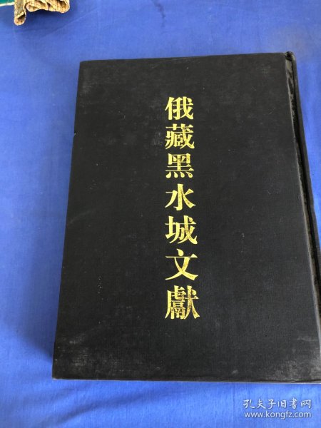 俄羅斯科學院東方研究所聖彼得堡分所藏黑水城文獻.14.西夏文世俗部分