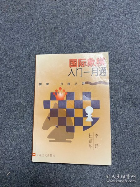 国际象棋入门一月通