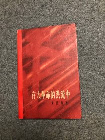 在大革命的洪流中 【精装】（1961, 一版一印,有多幅彩色插图）