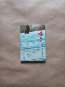 电视文学 《红楼梦》－根据曹雪芹原意新续