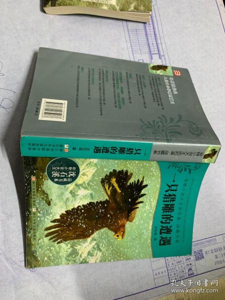 动物小说大王沈石溪·品藏书系·一只猎雕的遭遇