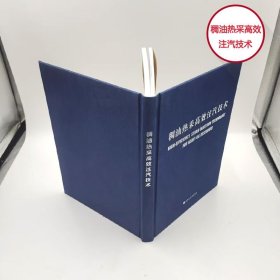 稠油热采高效注汽技术