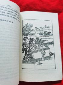 明清艳情小说：《闹花丛》《浓情快使》) 两册合售。 内有黑白插图，1993年一版一印。 A柜上左5