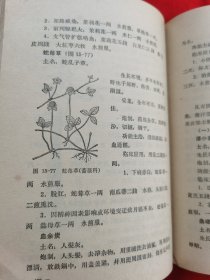 自学中医教材：“赤脚医生”培训教材——供南方地区培训参考使用（内有中药药方，针灸、中草药图等，请看实拍图和描述，1971年版）